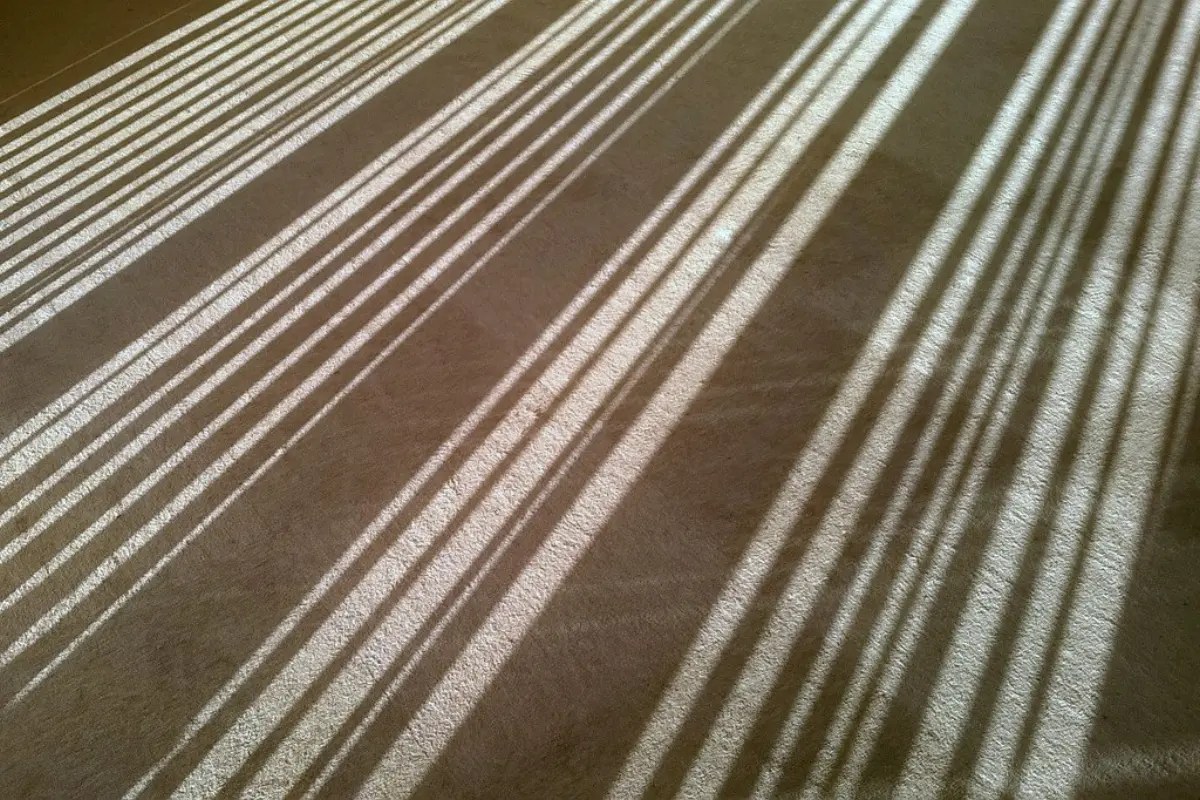 A row of printed barcodes